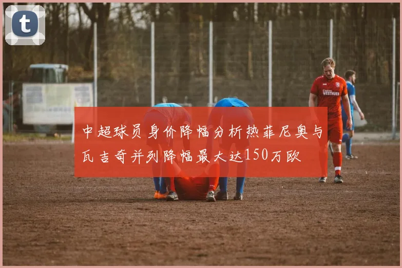 中超球员身价降幅分析热菲尼奥与瓦吉奇并列降幅最大达150万欧
